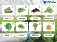 HỆ THỐNG CÁC SẢN PHẨM, DỊCH VỤ, CHỨC NĂNG CỦA TDG FARM