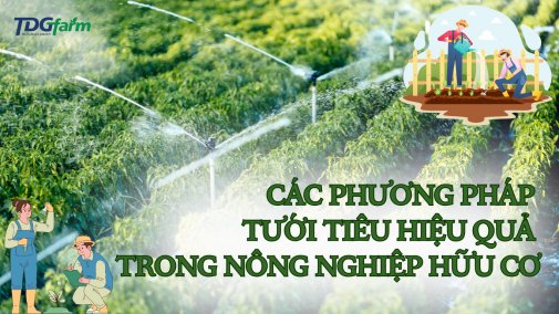 Các Phương Pháp Tưới Tiêu Hiệu Quả Trong Nông Nghiệp Hữu Cơ